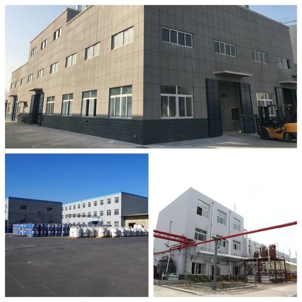 Cina Shandong Jiuchong Chemical Co., Ltd. Profil Perusahaan