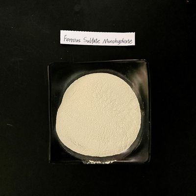 Ferrous Sulfate Monohydrate 91% Light Grey Powder FeSO4 H2O