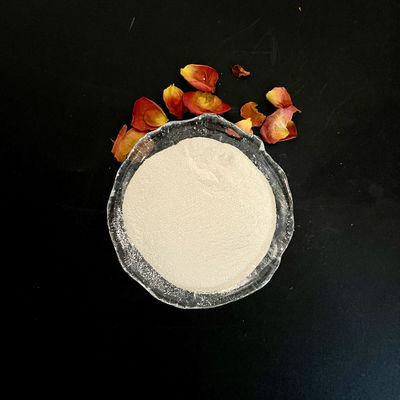 Ferrous Sulfate Monohydrate Powder 91% for Water Treatment